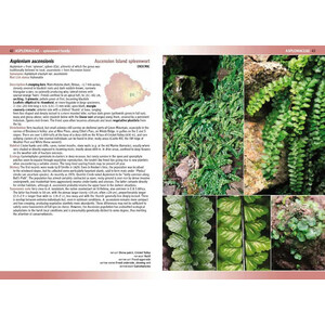 FLOWERING PLANTS &AMP; FERNS OF ASCENSION ISLAND_1