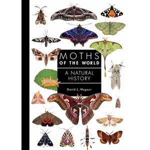 MOTHS OF THE WORLD: A NATURAL HISTORY