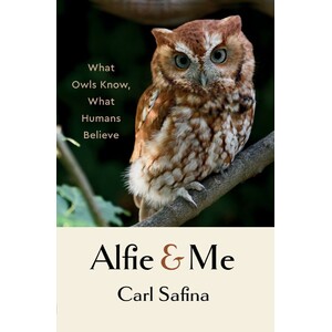 ALFIE AND ME: WHAT OWLS KNOW, WHAT HUMANS BELIEVE