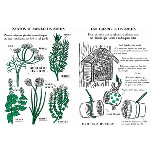 HOLA, NATURA. EXPLORA, DIBUIXA, CREA I DESCOBREIX LA NATURA_1