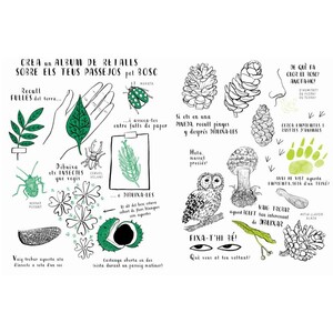 HOLA, NATURA. EXPLORA, DIBUIXA, CREA I DESCOBREIX LA NATURA 3