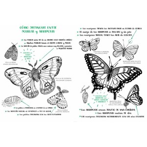 HOLA, NATURA. EXPLORA, DIBUJA, CREA Y DESCUBRE LA NATURALEZA_1