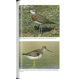 THE BIRDS OF CYPRUS. AN ANNOTATED CHECKLIST 3