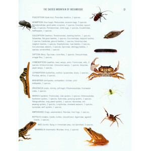 A WINDOW ON ETERNITY: A BIOLOGIST'S WALK THROUGH GORONGOSA NATIONAL PARK_1