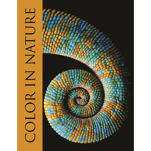 COLOR IN NATURE 1