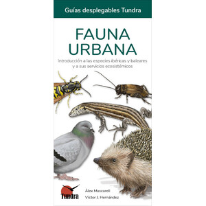 FAUNA URBANA. INTRODUCCIÓ A LES ESPÈCIES IBÈRIQUES I BALEARS I ELS SEUS SERVEIS ECOSISTÈMICS. GUIES DESPLEGABLES TUNDRA