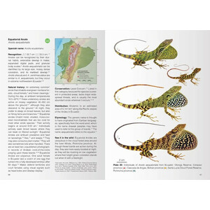 REPTILES OF ECUADOR. LIFE IN THE MIDDLE OF THE WORLD 2