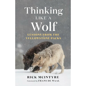 THINKING LIKE A WOLF. LESSONS FROM THE YELLOWSTONE PACKS