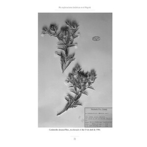 MIS EXPLORACIONES BOTÁNICAS EN EL MAGREB. RETAZOS DE UN DIARIO 4