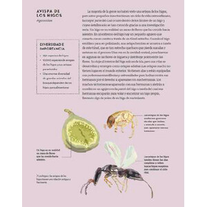 QUÉ HACEN LOS INSECTOS Y POR QUÉ_1