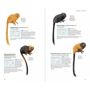 NEOTROPICAL PRIMATES_1