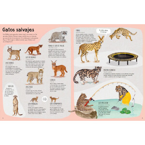 UN LIBRO DE GATOS 3