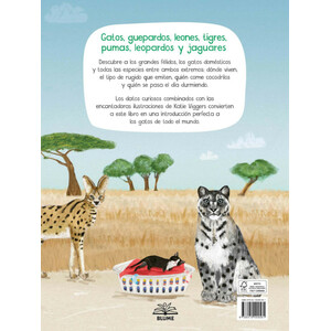 UN LIBRO DE GATOS 4