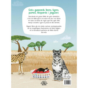 UN LLIBRE DE GATS 4