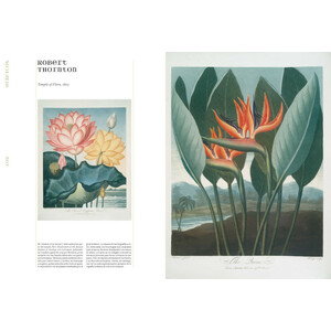 HERBARIA 3