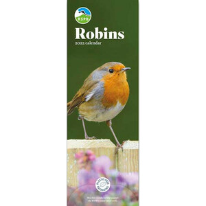 CALENDARIO ALARGADO PETIRROJO RSPB ROBIN CALENDAR 2025