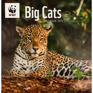 CALENDARIO WWF BIG CATS SQUARE WALL CALENDAR 2025