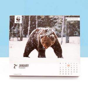 WWF NATURAL WORLD BOX CALENDAR 2025 4
