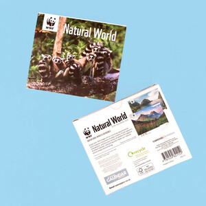 WWF NATURAL WORLD BOX CALENDAR 2025 5