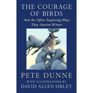 THE COURAGE OF BIRDS. AND THE OFTEN SURPRISING WAYS THEY SURVIVE WINTER