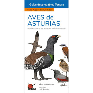 AVES DE ASTURIAS. INTRODUCCIÓN A LAS ESPECIES MÁS FRECUENTES. GUÍAS DESPLEGABLES TUNDRA