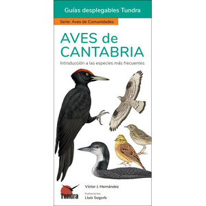 AVES DE CANTABRIA. INTRODUCCIÓN A LAS ESPECIES MÁS FRECUENTES. GUÍAS DESPLEGABLES TUNDRA