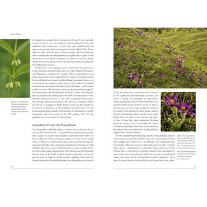 BRITISH WILDLIFE COLLECTION 14: RARE PLANTS 3