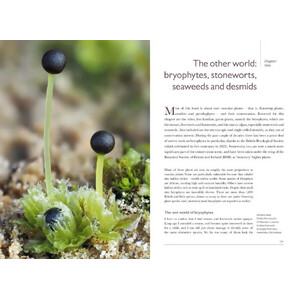 BRITISH WILDLIFE COLLECTION 14: RARE PLANTS 5