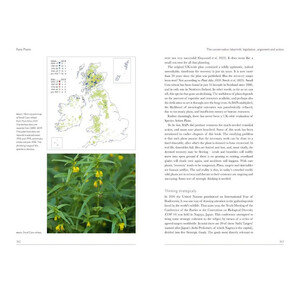 BRITISH WILDLIFE COLLECTION 14: RARE PLANTS 6