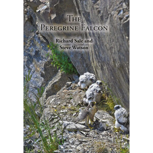 THE PEREGRINE FALCON
