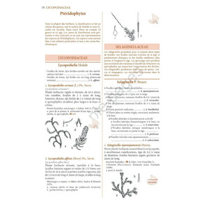 FLORE ILLUSTRÉE DU BURKINA FASO ET DU MALI (2 VOLUME SET)_1