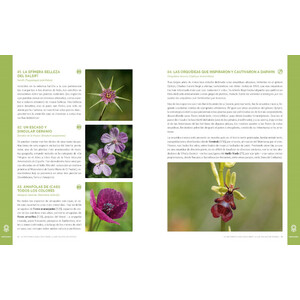 UN RECORRIDO PARA DESCUBRIR LA NATURALEZA DE ESPAÑA. 365 PROPUESTAS IMPRESCINDIBLES_1