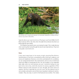 PINE MARTEN. THE SECRET LIFE OF MARTES MARTES 2