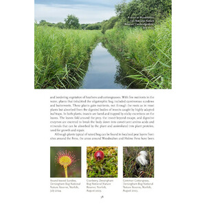 FENLAND NATURE_1