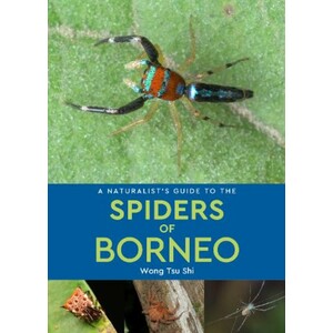 A NATURALIST'S GUIDE TO THE SPIDERS OF BORNEO