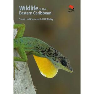 WILDLIFE OF THE EASTERN CARIBBEAN