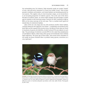 THE GAME OF SPECIES. AN INTRODUCTION TO BIODIVERSITY 4