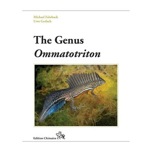 THE GENUS OMMATOTRITON 1