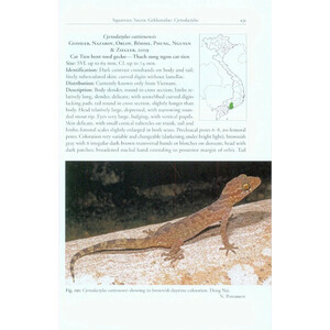 A PHOTOGRAPHIC FIELD GUIDE TO THE AMPHIBIANS AND REPTILES OF THE LOWLAND MONSOON FORESTS OF SOUTHERN VIETNAM 4