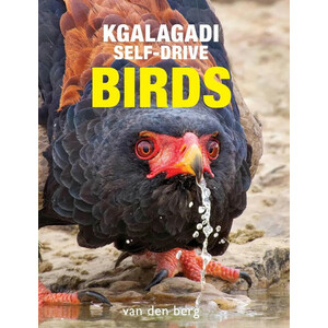 KGALAGADI SELF-DRIVE BIRDS
