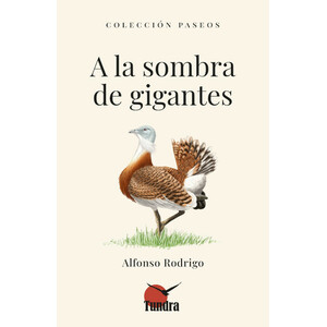 A LA SOMBRA DE GIGANTES. COLECCIÓN PASEOS