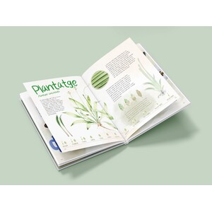 QUI HA DIT MALES HERBES! 4
