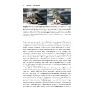 CROSSBILLS &AMP; CONIFERS. ONE MILLION YEARS OF ADAPTATION AND COEVOLUTION 5