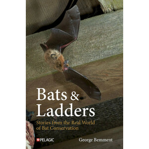 BATS &AMP; LADDERS STORIES FROM THE REAL WORLD OF BAT CONSERVATION