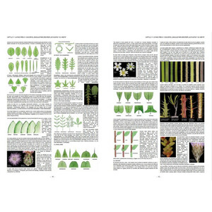 PLANTAS SILVESTRES DE ESPAÑA PENINSULAR. GUÍA FOTOGRÁFICA Y CLAVES PARA SU IDENTIFICACIÓN_1