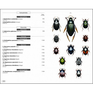COLÉOPTÈRES D'EUROPE SCARABÉES, HANNETONS, STAPHYLINS. HYDROPHILES VOL. 2 POLYPHAGA_1