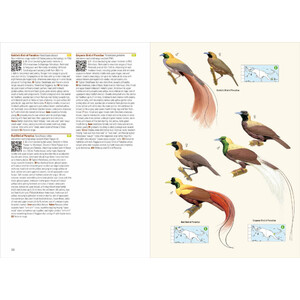 BIRDS OF NEW GUINEA. 2ND EDITION_1