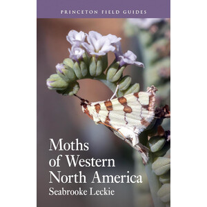 MOTHS OF WESTERN NORTH AMERICA