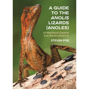 A GUIDE TO THE ANOLIS LIZARDS (ANOLES) OF MAINLAND CENTRAL AND SOUTH AMERICA