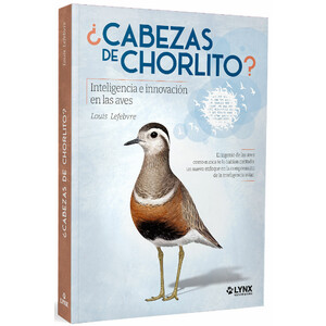 ¿CABEZAS DE CHORLITO? INTELIGENCIA E INNOVACIÓN EN LAS AVES